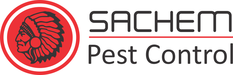 Simple Outdoor Pest Tips| Sachem Pest Control